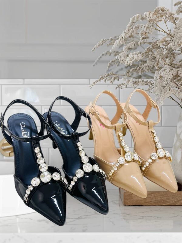 Shoe’s hut Fancy Coat Shoes SH001001