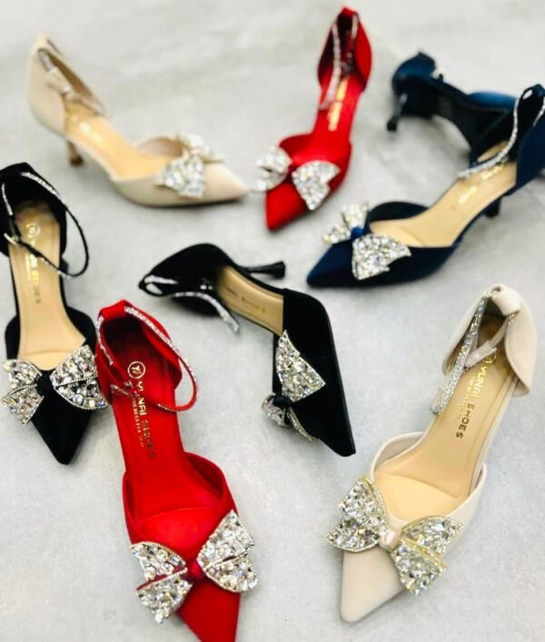 Shoe’s hut Fancy Coat Shoes SH001010